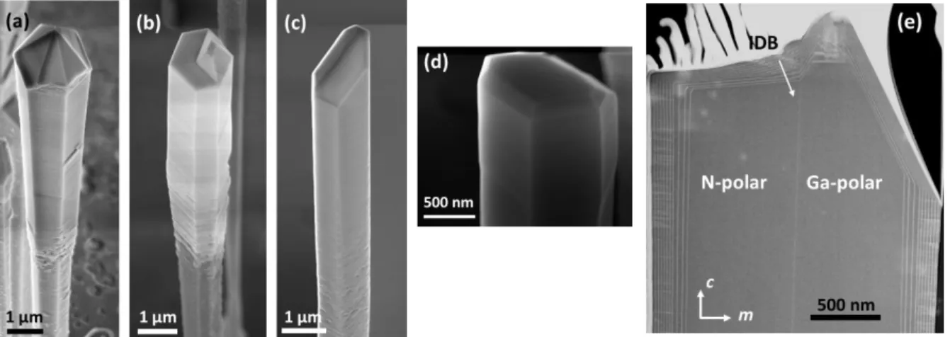 Figure 2.5: InGaN/GaN core-shell wires: (a)-(d) SEM images of single wires showing different shapes  of wire-tops and (e) TEM image showing the coexistence of dual polarity in the same wire slice