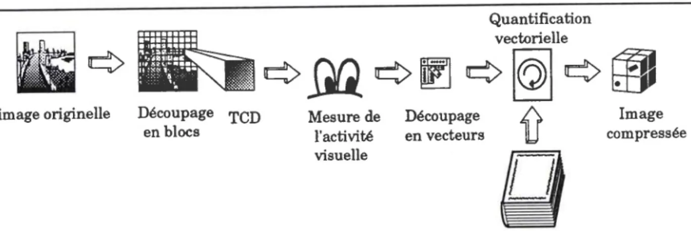 Fig 4 :  schéma synoptique de I'algorithme: