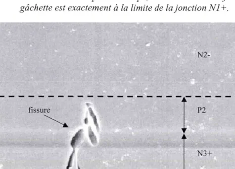 Fig. II-79. Agrandissement  du défaut  précédent,  vu au MEB. Le défaut est unefissure qui traverse les couches  N3+ et P2.