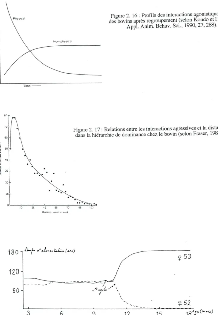 Figure 2.  16:  Profils des interactions agonistiques cl~c z  des  bovins après regroupement (selon Kondo et Hurn1ck, 