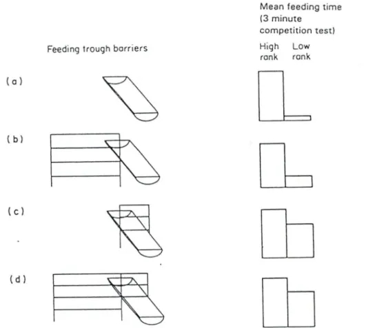 Fig .  37 .  1  Physical  barriers  affected  feeding  times by  cows  ranking  high  and  low  in  a  compet itive  order 