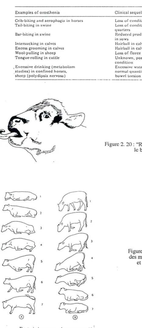 Tableau 2. 2: Manipulations du syndrome d'orosthénic et de  séquelles cliniques associées (scion  Fraser,  1985)