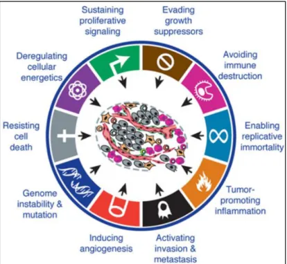 Figure 1 - The hallmarks of cancer. 