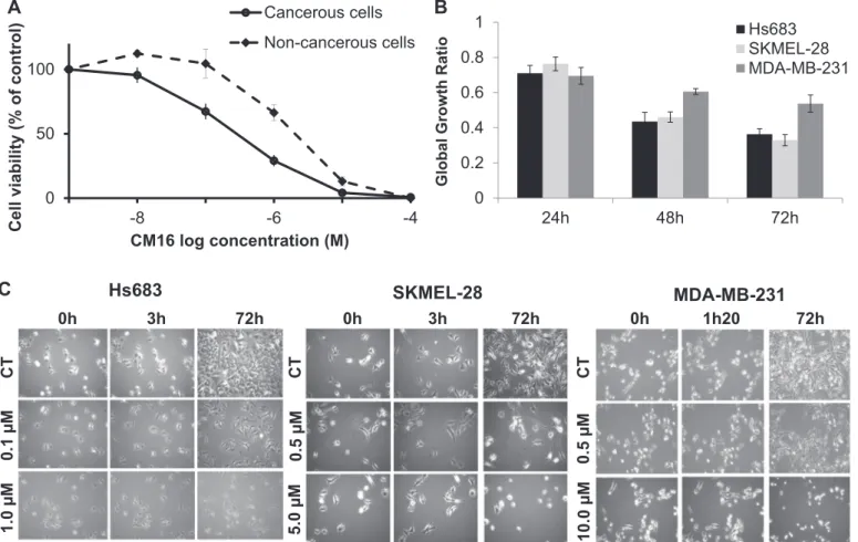 Fig. 3. CM16-induced cytostatic growth inhibition e ﬀ ects in cancer cells. A: Cell growth inhibition in cancer cells (solid line) versus non-cancerous cells (dashed line) treated with CM16 for 72 h