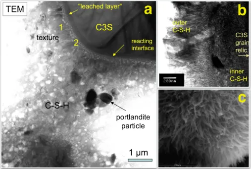 Fig. 2.Sample 2: Micrographs of C 3 S paste hydrated for 3 days before rapidly drying from 100% RH to 33% RH in the ESEM