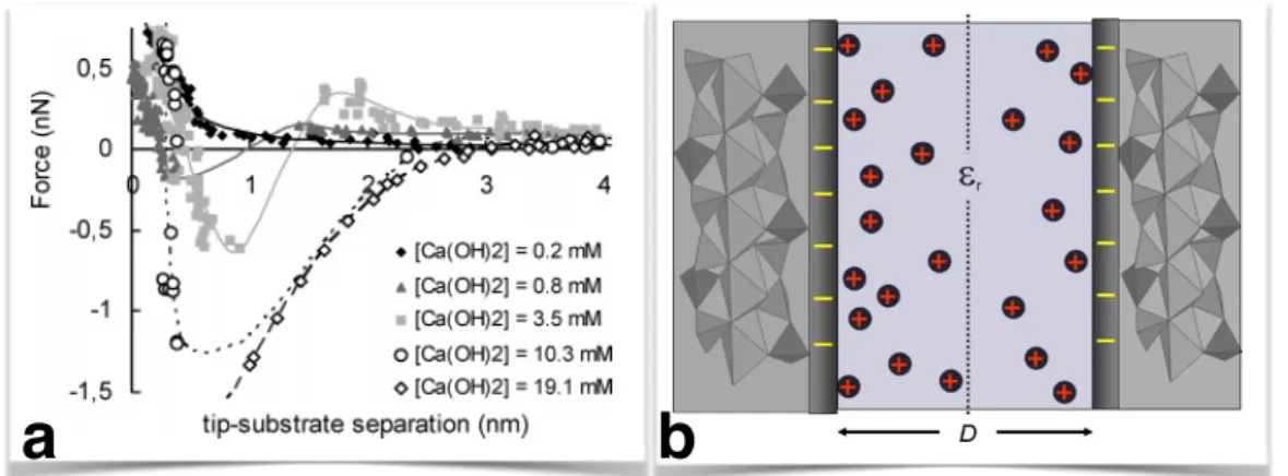 Figure 5. Interaction forces measured between a micrometric flat C-S-H surface and a C-S-H nanocrystal at the top of an AFM tip immersed in Ca(OH) 2 solutions of different  concentra-tions (series 1 in Table 1)