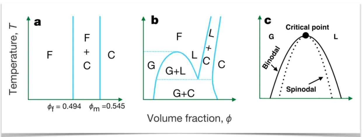Fig. 2.2 a) Phase diagram for purely hard-sphere system, showing the fluid (F) and crystal (C) phases
