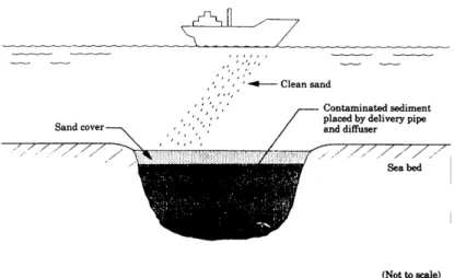 Figure 4 : Représentation schématique d un dépôt en mer avec  in situ capping  (Lau et Rootham, 1993).