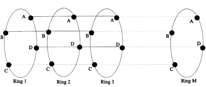 Figure  3-1:  Seamed  Network