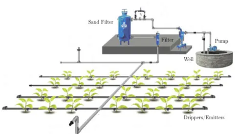 Figure 1-2: Example of a drip irrigation system layout (Photo courtesy of Plantations International Limited).