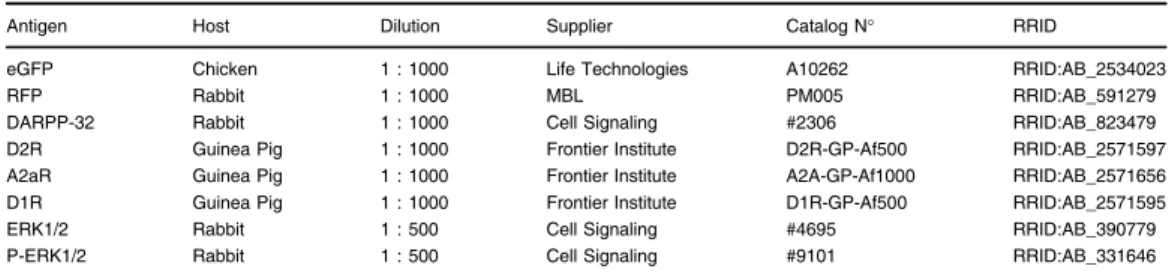 Table 2 List of primary antibodies