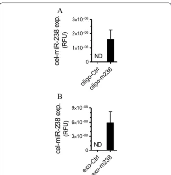 Figure 5 Horizontal transfer of cel-miR-238 between MIN6B1 cells. A) Donor MIN6B1 cells were transfected with a control oligonucleotide (oligo-Ctrl) or with an oligonucleotide corresponding to the sequence of cel-miR-238 (oligo-m238)