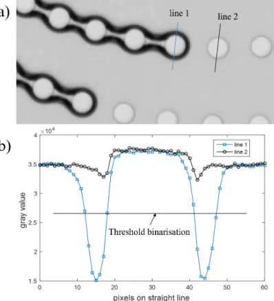Figure 2.14: a) Zoom on a liquid bridge; b) Light intensity profile along line 1 (in blue) and line 2 (in black).