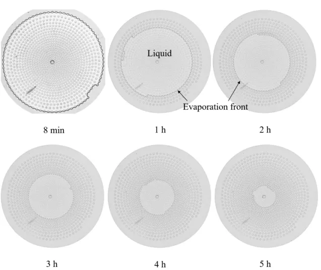 Figure 4.2: Images of liquid-gas phase distribution during drying in the stable case ( dw ϕ
