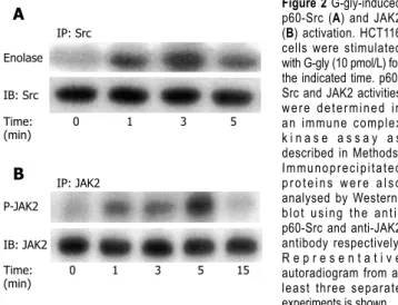 Figure 3 Role of PI3K, Src or JAK2 pathways in human colonic tumour cell  proliferation induced by G-gly