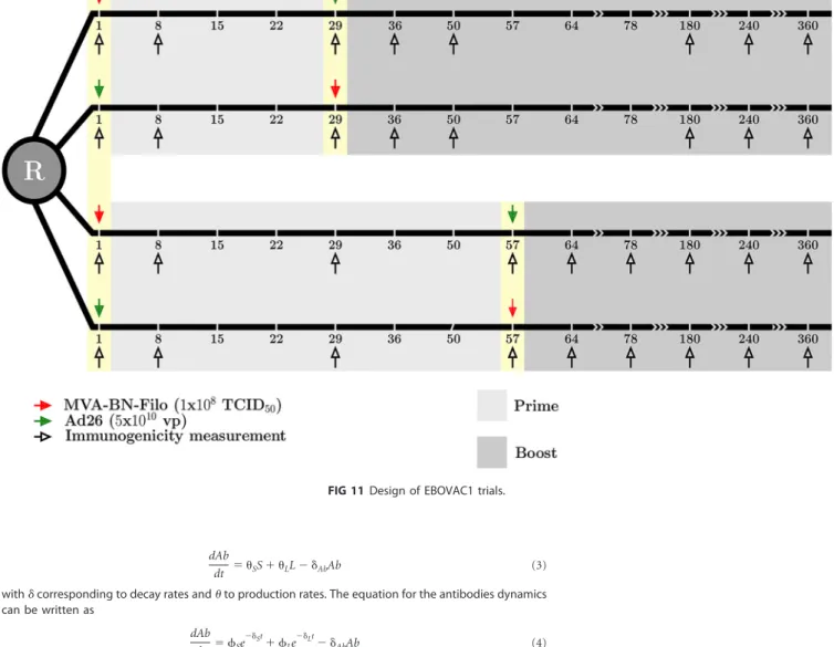 FIG 11 Design of EBOVAC1 trials.