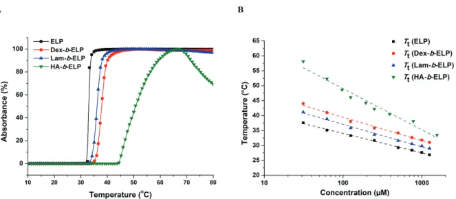 Figure 3.  Turbidity study of ELP and polysaccharide-b-ELP bioconjugates. (A) Absorbance  measured at 125 μM in water  as function of temperature