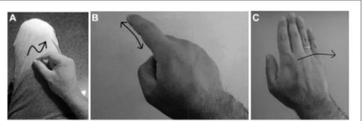 FigUre 2 | Most common gestures for: (a) writing a message,   (B) confirming a selection, and (c) sending a message.