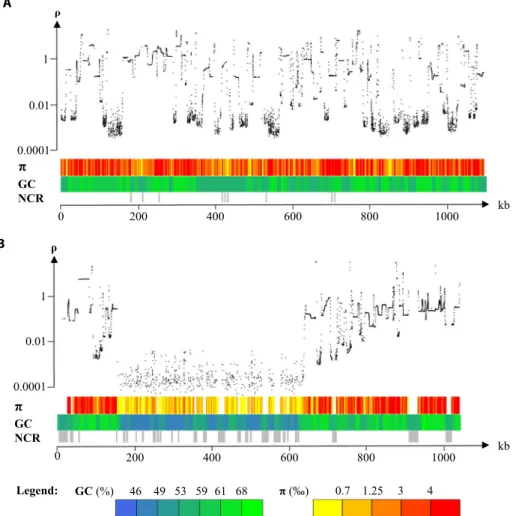 Fig. 2. Variation of the population recombination rate ( r ), nucleotide diversity ( p ), and GC content (GC) along chromosomes of O