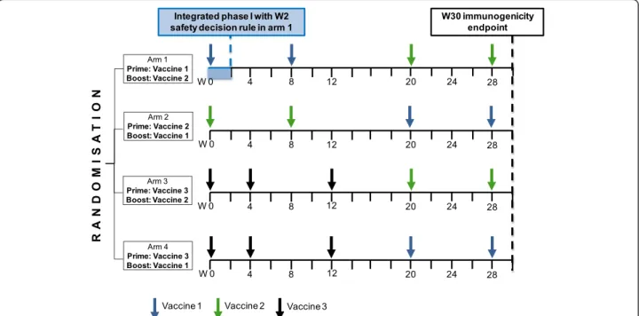 Figure 1 Overview of the proposed multi-arm phase I/II design. Legend: W = week.