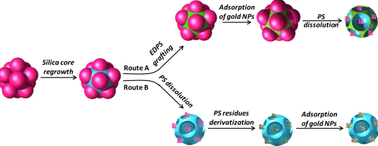 Figure 3. Schematic representation of the regioselective functionalization of dimpled silica  particles