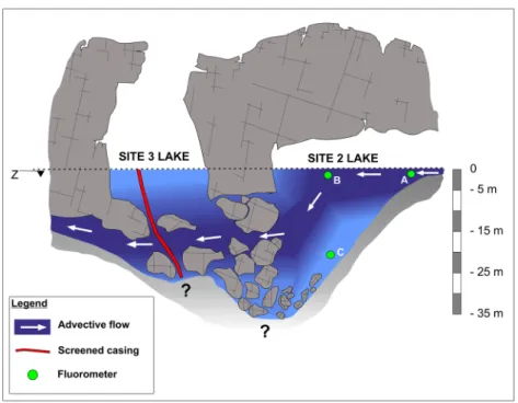 Fig. 10 New conceptual model showing the advective flow highlighted by the field investigations