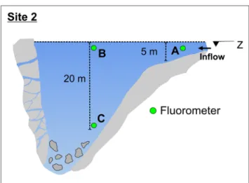 Fig. 7 The site 2 lake was equipped with three fluorometers (A, B, C) placed at different positions and different depths during complementary investigations