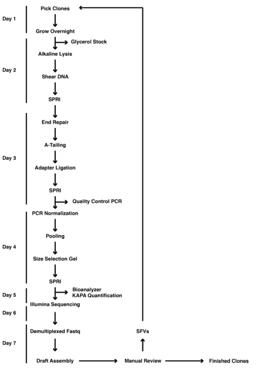 Figure   1   |   Overview   of   SHIMS   2.0   protocol.      