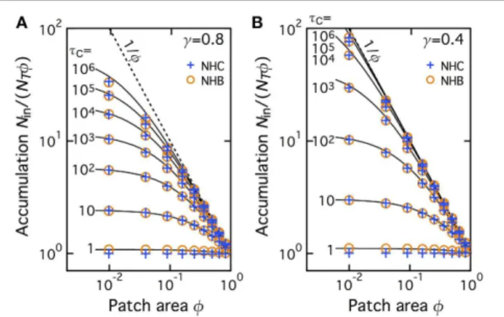 FIGURE 3 | Accumulation depends on patch area and the amplitude of the slowdown in the patch