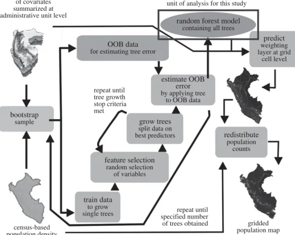 Figure 1. General process of using a random forest to created gridded population maps following Stevens et al