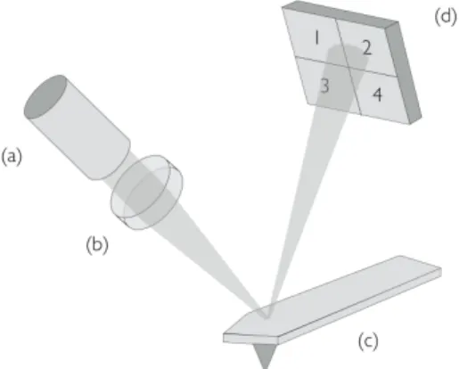 FIG. 1. Schematic representation of the optical beam deflec- deflec-tion technique: the beam of the laser (a) is focused with lens (b) on the free end of the cantilever (c)