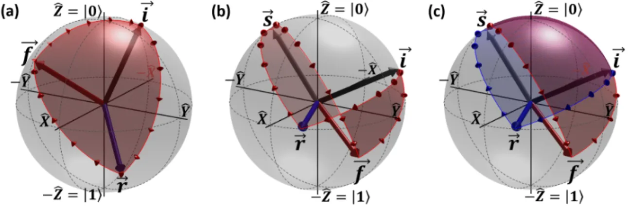 Figure 1. Solid angle representations on the Bloch sphere. (a) The red solid angle Ω irf of the sequence of states |φ i i → |φ r i → |φ f i → |φ i i is directly proportional to the argument of the weak value Π r,w (5)