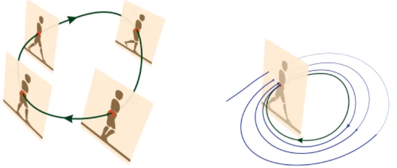 Fig. 3 Locomotion cycle: Locomotion is a cyclic process sequencing the same postures alterna- alterna-tively (left)