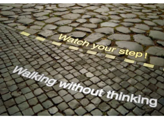 Fig. 7 Pavement in Roma: two textured grounds. In the bottom part, we walk without thinking, in the upper part, one has to watch his/her steps.