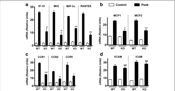 Fig. 6 Chemokine and chemokine receptor but not adhesion molecule expressions in the CNS of EAE-immunized mice are reduced in VPAC1 KO mice