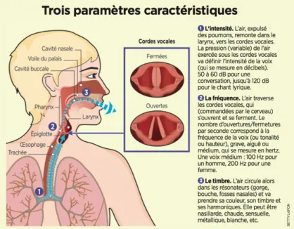 Figure 20 Trois paramètres caractéristiques de la voix 