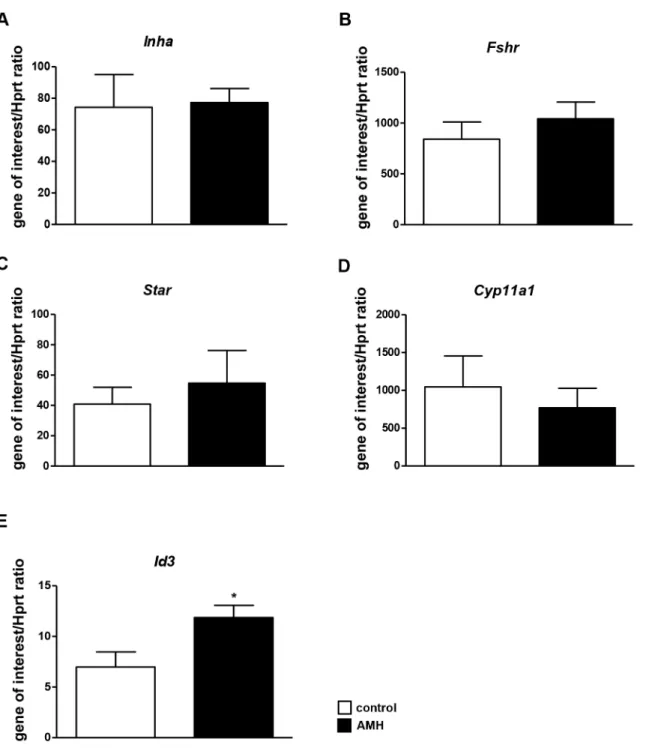 Figure 3. AMH target genes in granulosa cells. After collecting and seeding, GCs were exposed (&amp;) or not (%) to 8 nM AMH (A–E) for 24 h