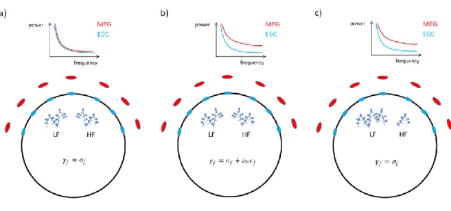 Figure 2: Schematic view of different biophysical scenarios for explaining differences  between EEG and MEG spectra