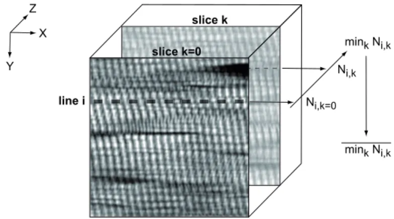 Fig. 9. Description of the method of intensity profile analysis. 3D schematic view of an entire stack where the first image of the stack corresponds to that of Fig