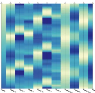 Figure 10: A screen shot from MuxViz [30] showing the values for a centrality across layers