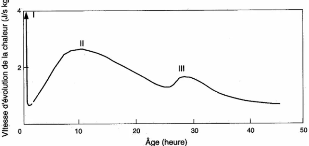 Figure I-1 : Représentation schématique de la courbe calorimétrique de l'hydratation globale  du ciment [NEVILLE 00] 