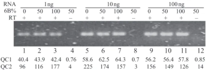 Figure 3. Quality controls of PASP. RNAs containing exons 6A or 6B were mixed in the indicated proportions (6B%) to a total amount of 1, 10 and 100 ng and reverse-transcribed, except for lanes 4, 8 and 12 where the reverse transcriptase was omitted