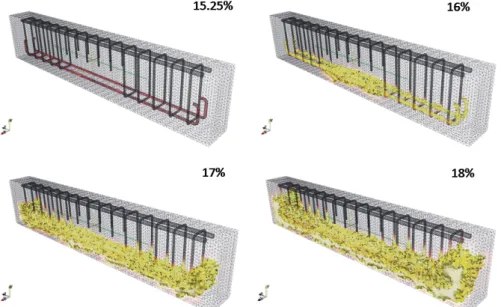 Figure 2.6: Damage pattern — after corrosion and before the mechanical loading for different corrosion degrees.