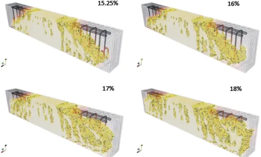 Figure 2.7: Damage pattern — after corrosion and after the mechanical loading for different corrosion degrees.
