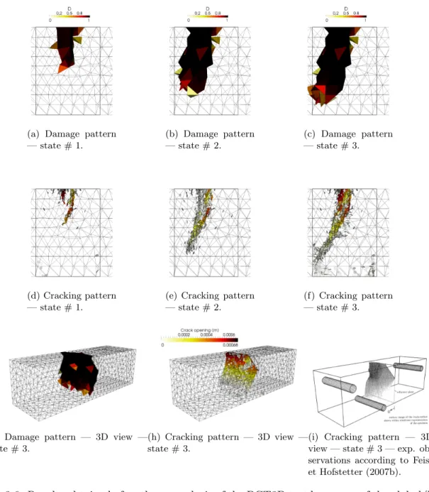 Figure 3.6: Results obtained after the re-analysis of the PCT3D test by means of the global/local post-processing strategy.