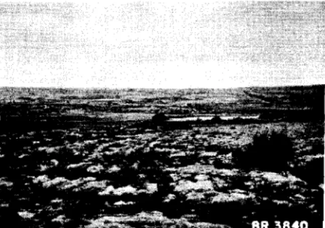 Fig. 23 View west to Hudson Bay on August 20, 1955 from the Precambrian Upland toward the settlement of Great Whale River, P.Q