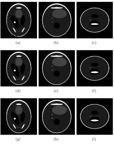 Figure 5. Reconstruction with L0-norm prior and with different number of views and noise free projections