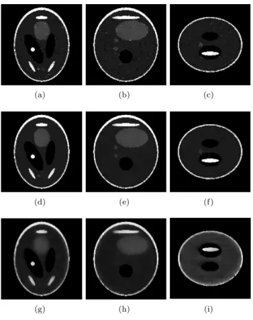 Figure 11. Rconstructions results with different relaxation parameter. From top to bottom are results with u