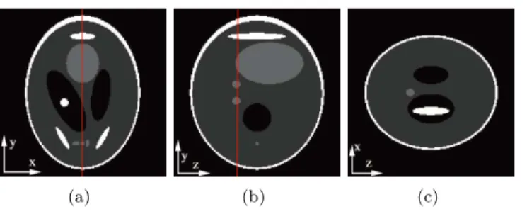 Figure 2. Visualization of three slices at respectively (a) z = 0 mm, (b) x = 0 mm, (c) y = -20 mm through the 3-D modified Shepp-Logan phantom: several high and low contrast structures have been added that are of different sizes and close to each other to