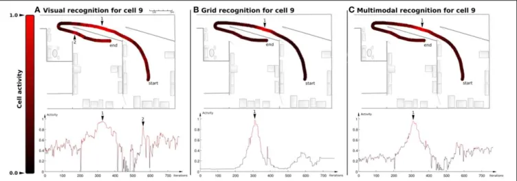 FIGURE 10 | Example of recognition for one cell (Experiment 8). On the upper part: Activity plotted on one path (red = 1, black = 0)